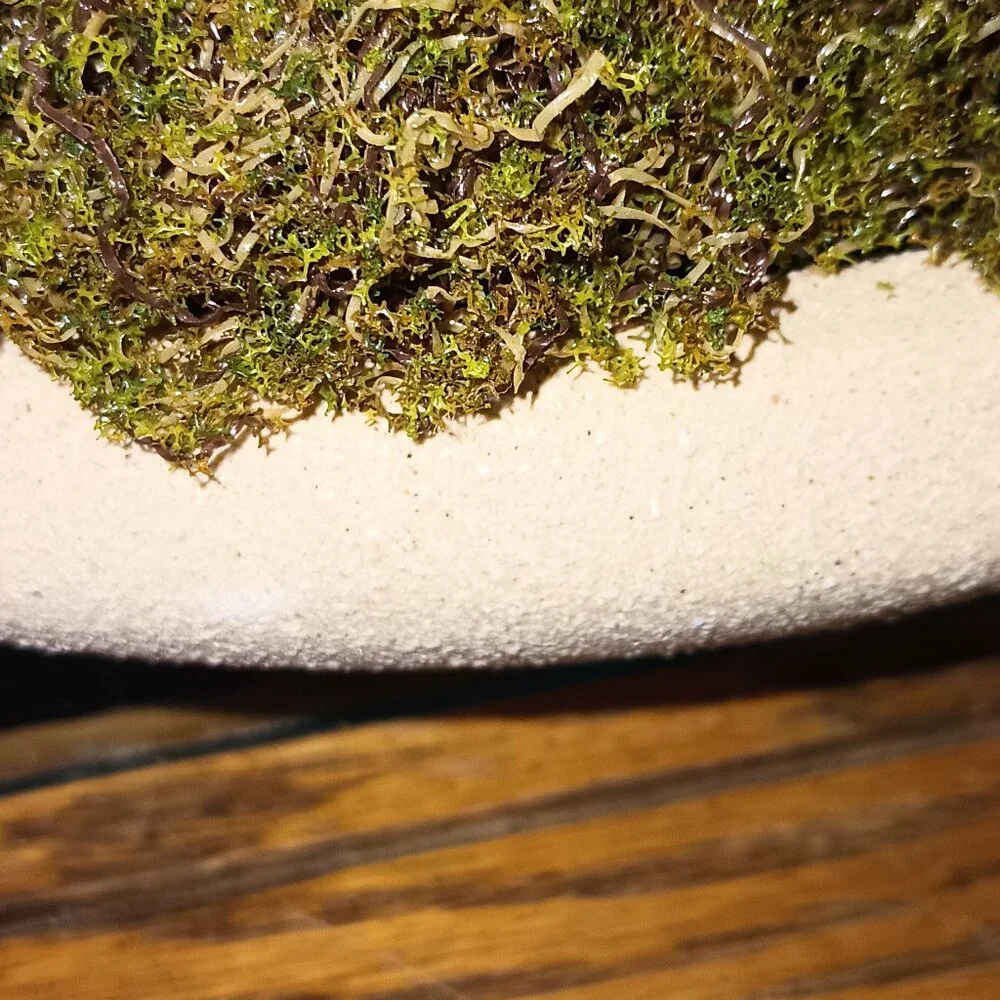 NEW Threshold - Faux Moss Bowl Green